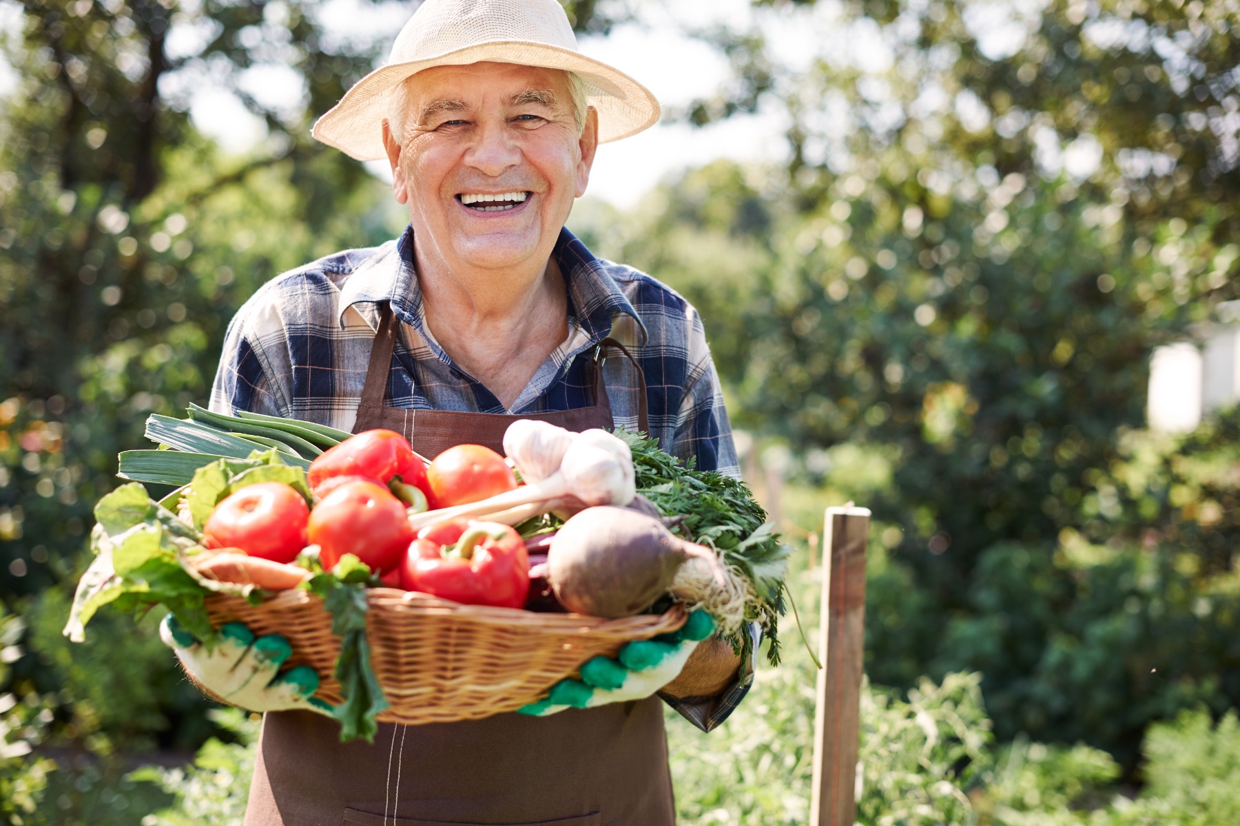 man holding basket of vegetables from garden
